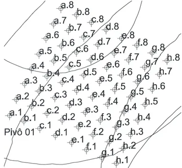 Figura 1. Malha fixa quadrangular georeferênciada.