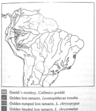 Figura 5: Distribuição de Leontopithecus chrysomelas  Fonte: Emmons, 1990