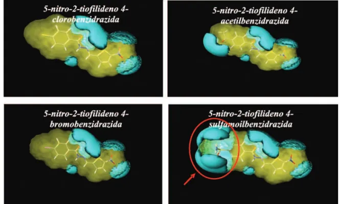 FIGURA 9 - Regiões com  capacidades doadora (A) e aceptora (B, C) de ligações de hidrogênio das 5-nitro-2-tiofilideno benzidrazidas substituídas.