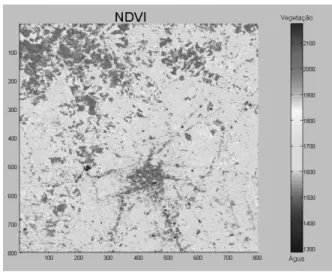 Figura 2. NDVI.