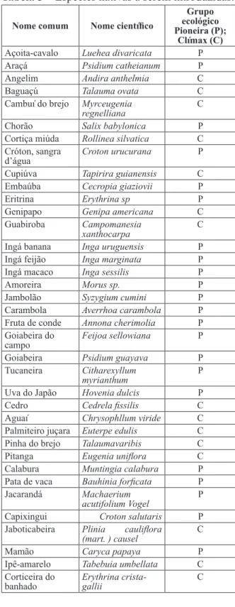 Figura 2 – Modelo sugerido para o plantio.