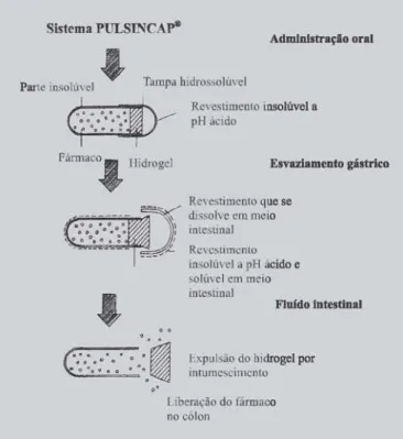 FIGURA 1 -  Esquema do sistema Pulsincap ® . Adaptado de Mcneil e Stevens, 1990.