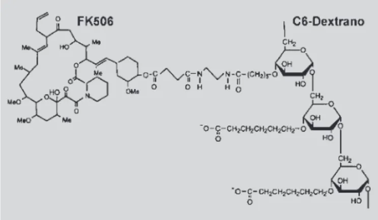 FIGURA 26 - Pró-fármaco polimérico tacrólimo(FK506)- tacrólimo(FK506)-dextrano (Yura et al., 1999).