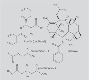 FIGURA 12 - Pró-fármacos do paclitaxel (Nicolaou et al., 1993).