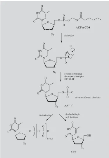 FIGURA 17 - Sistema AZT-CDS.  A zidovudina foi acoplada ao transportador 1,4-diidrotrigonelina (AZT-Q), o qual é difundido para o SNC