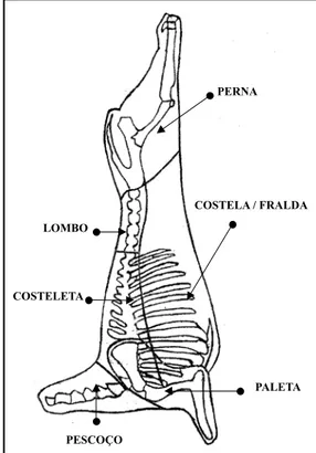 Figura 1: Metodologia adotada pelo Departa- Departa-mento de Zootecnia da UFLA, citada por  San-tos (1999), SanSan-tos &amp; Pérez (2000) e  Furusho-Garcia (2001)