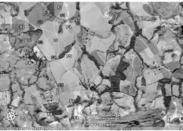 Figura 1. Mapa da área de estudo, município de Lavras - Minas Gerais, na base da Serra do Carra- Carra-pato (Fonte: http://earth.google.com)