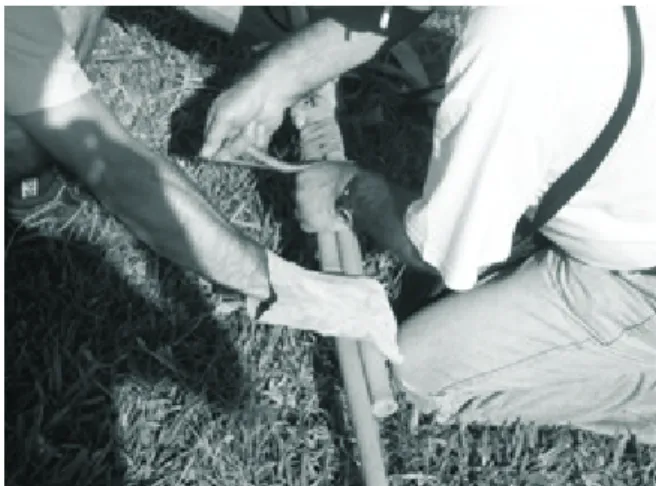 Figura 1. Operação de alongamento do bastão do prisma com auxílio de tiras de borracha e varas de bambu de 2,5 m.