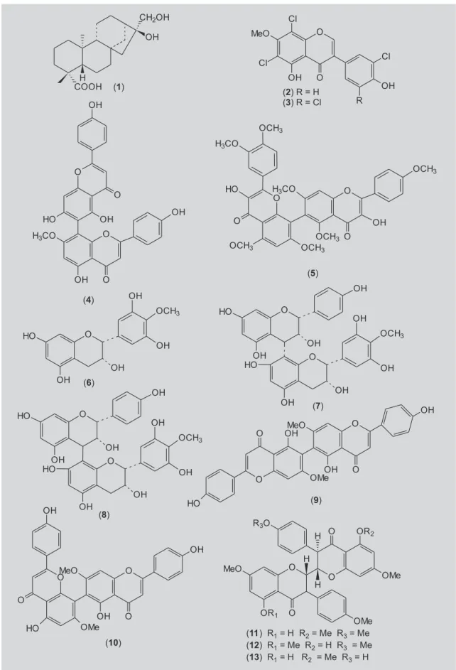 FIGURA 1 - Estruturas químicas de substâncias isoladas de espécies de Ouratea.