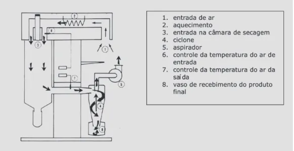 TABELA II - Parâmetros de processo do spray-dryer para os produtos normal e dietético