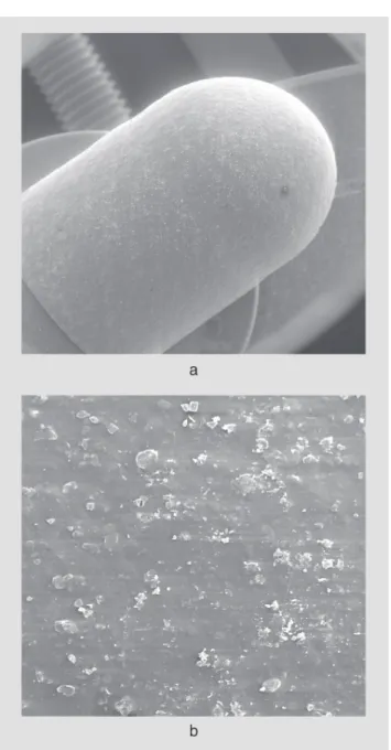 FIGURA 7 - Cápsula Dura de Gelatina tamanho 1, 45 min de revestimento. a – Aumento de 10 x e b – Aumento de 100 x.