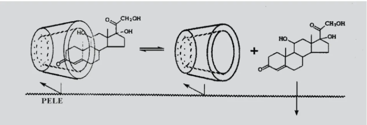 FIGURA 11 - Permeação da hidrocortisona através da pele a partir de um veículo aquoso de ciclodextrina (adaptado de Loftsson et al., 1998e).