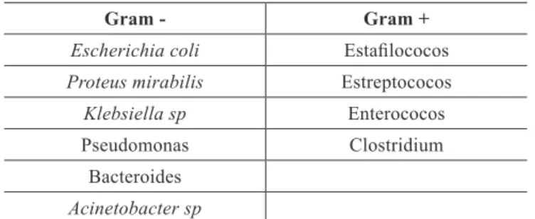 Tabela 1 – Principais bactérias envolvidas na   síndrome de Fournier, de acordo com seu grupo  