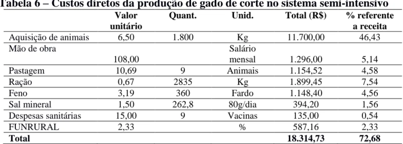 Tabela 6 – Custos diretos da produção de gado de corte no sistema semi-intensivo 