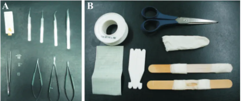 Figura 2 – Representação da etapa 2 do protocolo. A: Suturas  simples realizadas após a incisão longitudinal no látex; B: Incisões 