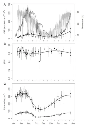 FIGURE 1 | Evolution of environmental and seagrass biological parameters in P. oceanica meadow at 10 m depth over time