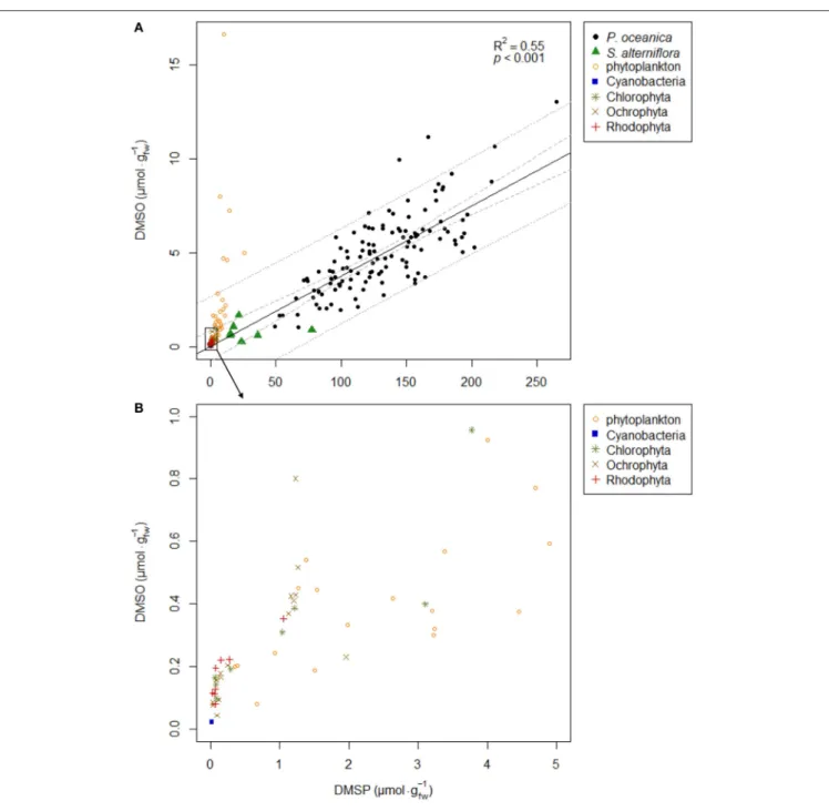FIGURE 5 | Scatterplot of DMSP and DMSO concentrations (µmol.g −1 fw ) in P. oceanica third leaf, S