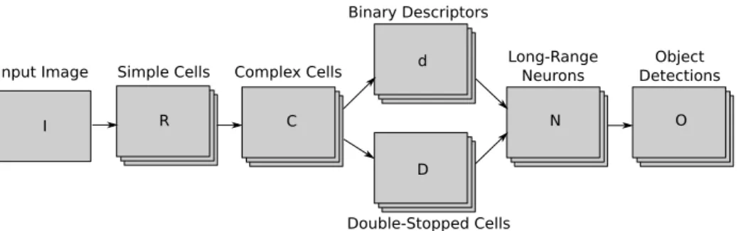 Fig. 1. Overview of the detection process. An input image I is processed by a set of retinotopic neural maps shown in the illustration as stacks of images