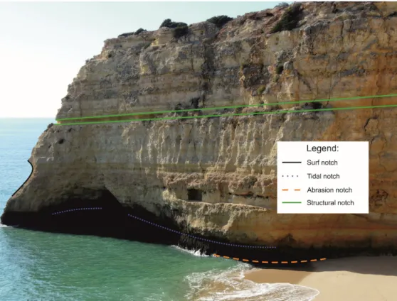 Figure 2. The western cliff of Carvalho beach illustrating the main identified notch types