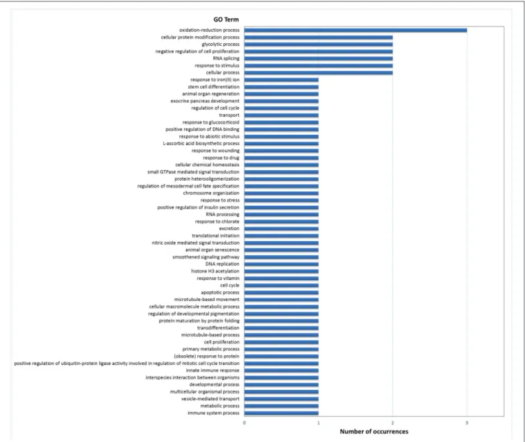 FIGURE 2 | Frequencies of the Molecular Function GO terms in the set of genes that showed significant (PFP < 0.15) differential expression between F and S clams in the digestive gland