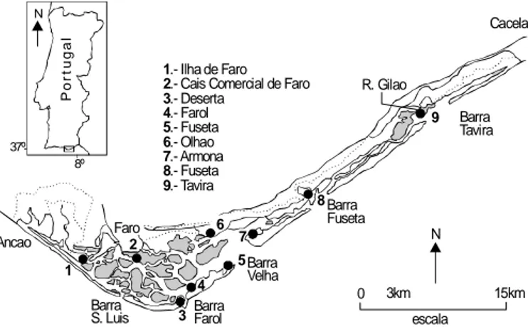 Figure 1. Location of the sampling sites of the mussel Mytilus galloprovincialis in the Ria Formosa lagoon (Portugal).