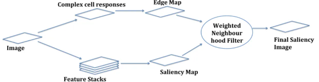 Fig. 1. Overview of our texture-based saliency method. First, the input image is pro- pro-cessed using a bank of Gabor filters