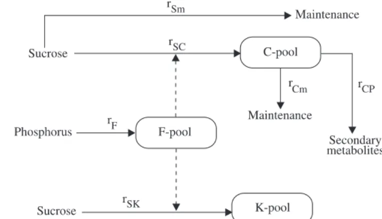 Table 1 explicits the yield coef®cients and the rates of conversion processes represented in the model diagram of Fig