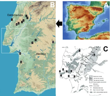Figure 1: A) Location of the study area in the Iberian Peninsula. B) Estremadura and neighbouring  areas