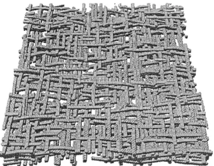 Figure  3.1  –  An  example  of  a  fiber  network  structure  simulated  by  the  Niskanen  and  Alava  model (Alava and Niskanen, 2006)