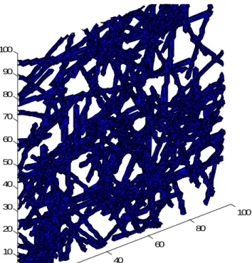 Figure 3.2 – An example of a fiber network structure simulated by the presented model