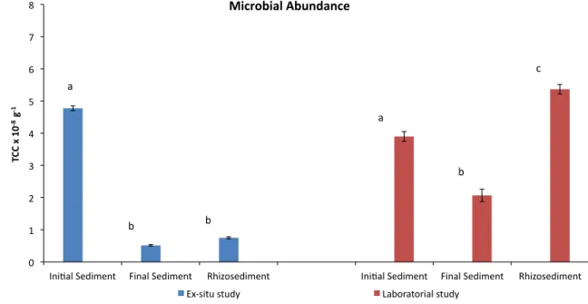 Table 2 Butyltins concentrations (average ± standard deviation (n =3)) observed in the in situ study carried out at Marim  chan-nel in Ria Formosa lagoon
