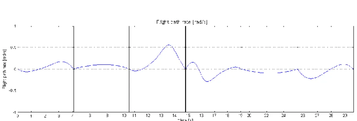 Figure 3.8 – Flight path rate function. 