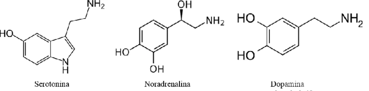 Figura 1.1 – Aminas biogénicas neurotransmissoras  adaptado de 10