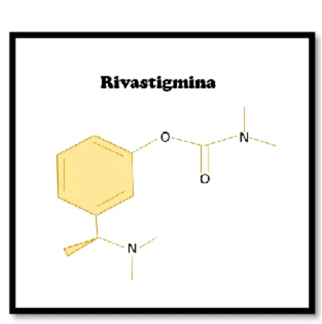 Figura 9: Representação da estrutura química do fármaco Rivastigmina  