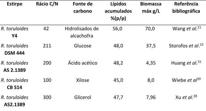 Tabela 3 - Acumulação lipídica por diferentes estirpes da levedura R. toruloides com diferentes rácios C/N,  utilizando diferentes fontes de carbono