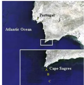 Figure 1. MERIS image from 17 th  November 2008  provided by ESA  showing  sampling Stations A, B and C