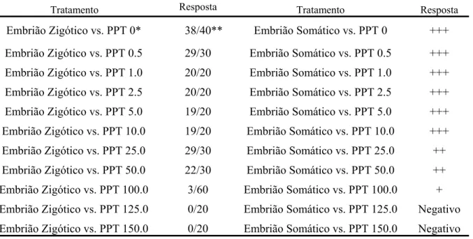 FIGURA 1.  Desenvolvimento de embriões somáticos secundários de mamoeiro (Carica papaya L.) in vitro, em meio de indução de embriogênese suplementado com 60 g.L -1  de sacarose (Control) e 0,5 g.L -1  de manose (M0,5), como única fonte de carbono 