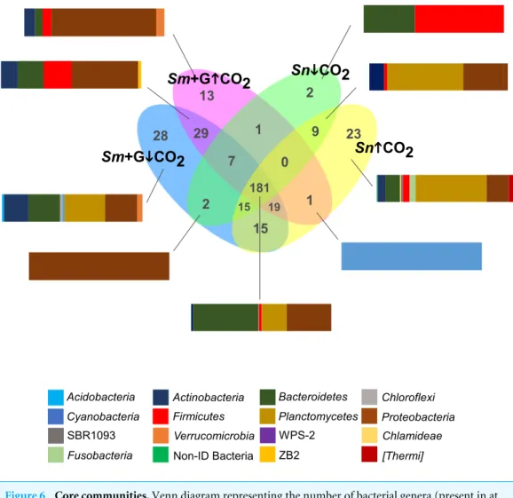 Figure 6 Core communities. Venn diagram representing the number of bacterial genera (present in at least 75% of samples) shared between the different CO 2 treatments (ambient CO 2− ↓ CO 2;  elevated/acidi-fied CO 2− ↑ CO 2 ) and associated to grazed Sargas