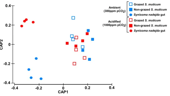 Figure 2 Community structure. Plot of canonical analysis of principal coordinates (CAP) based on Bray–Curtis distances calculated on square-root transformed bacterial abundances, showing the axes that best discriminate the bacterial assemblages across CO 2