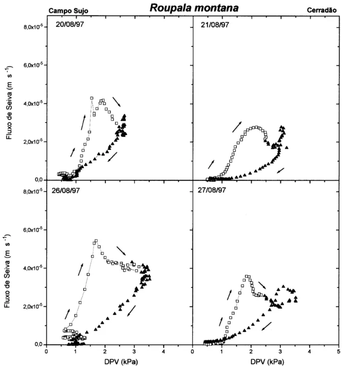 FIGURA 5 - Relação entre o fluxo de seiva e o déficit de pressão de vapor para Roupala montana nos dias 20, 21,  26 e 27 de agosto de 1997