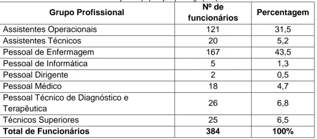 Tabela 4 – Distribuição da população pelos grupos profissionais 