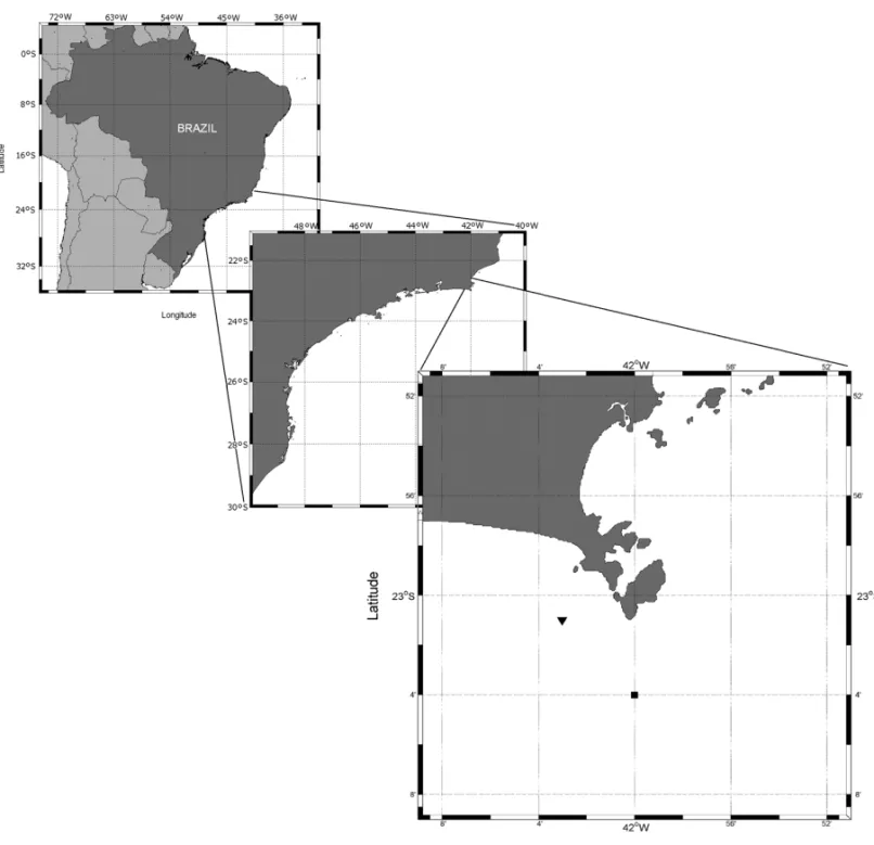 Figura 1 – Localizac¸˜ao da ´area de medic¸˜ao. O triˆangulo indica a posic¸˜ao do fundeio do ond´ografo entre 1998 e 1999 e o quadrado, a partir de julho de 2000.