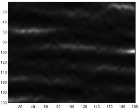 Figura 12 – Imagem SAR de 200 × 200 pixels para ondas irregulares se deslocando na direc¸˜ao azimutal.