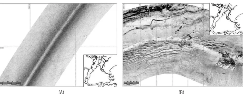 Figura 4 – Exemplos do padr˜ao sonogr´afico Fundo Homogˆeneo de Baixa Intensidade (A) sem alterac¸˜oes e (B) com alterac¸˜oes antr´opicas.