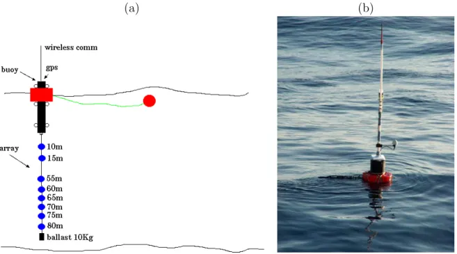 Figure 2.1: Acoustic Oceanographic Buoy - version 2: receiving array and surface buoy structure (a) buoy at sea (b).