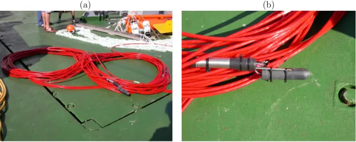 Figure 2.6: Acoustic Oceanographic Buoy (AOB): hydrophone array (a) and pre-amplifier hydrophone package (b).