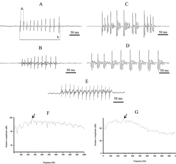 Figure 3: Oscillograms (A-D) of sounds produced by captive  A. regius associated with different contexts and  ontogeny; oscillogram of sound produced by meagre in the field (E); and power spectrum (F, G)