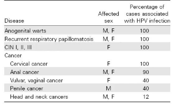 Tabela  1:  Percentagem  estimada  de  patologias  associadas  à  infeção  por  HPV,  e  sua  distribuição  de  acordo com o género.(20)