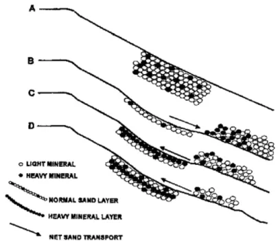 Figura 9 – Modelo emp´ırico de deposic¸˜ao de minerais pesados em praias (Fonte: Cascalho &amp; Taborda, 2006).