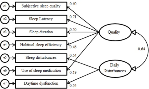 Figure 1. Factor loadings for the two factor model from the EFA (model 3). 